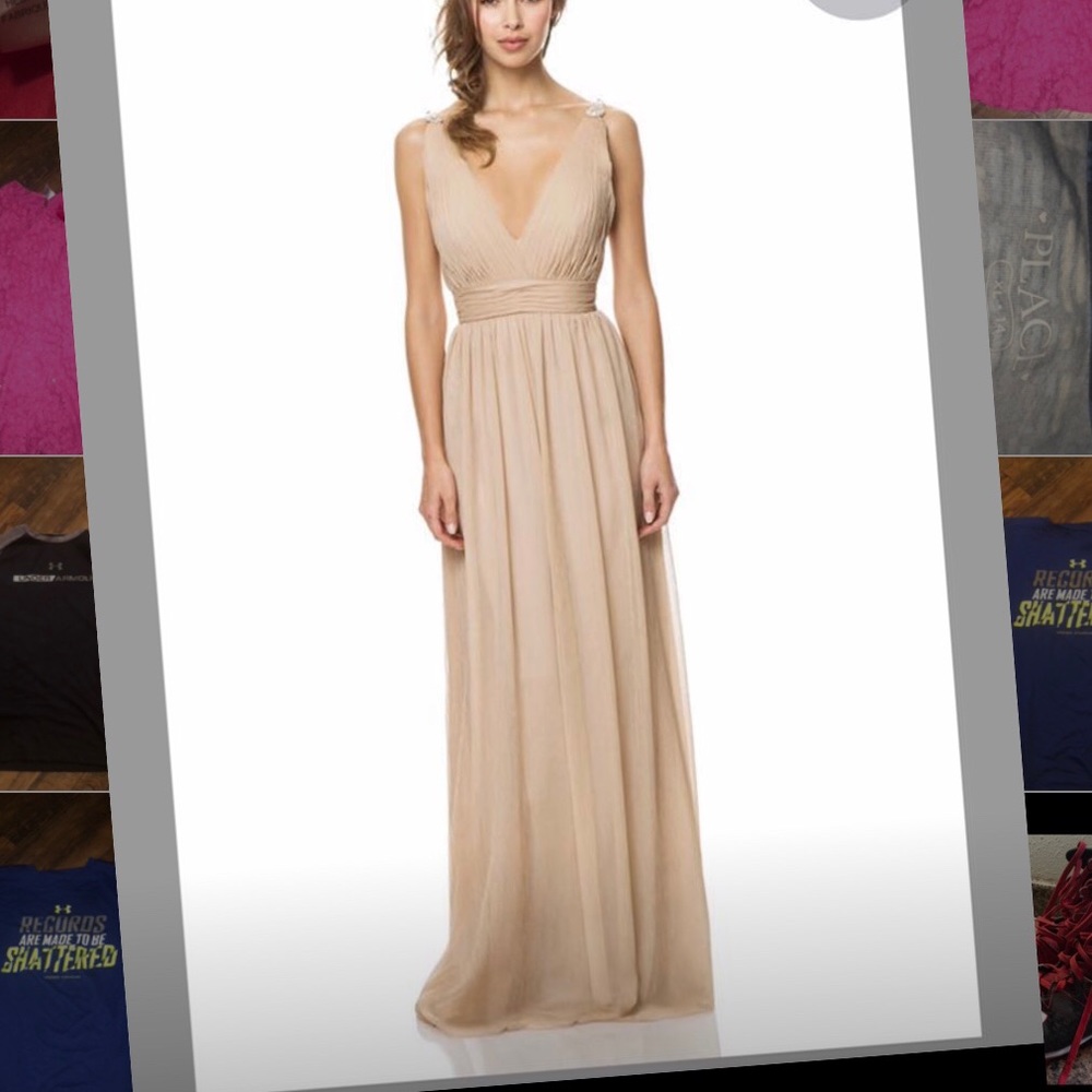 Bari Jay Gown (Dress)